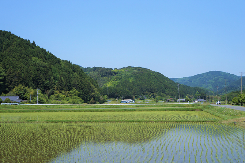 ご挨拶